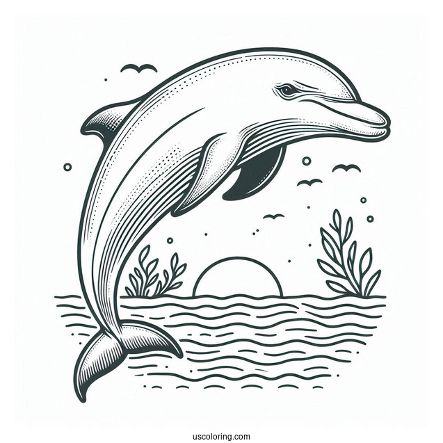 Common Bottlenose Dolphin Coloring Page