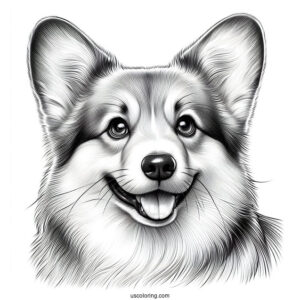 Close Up Of Realistic Corgi Coloring Page