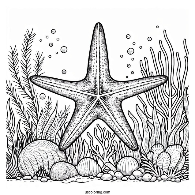 Large Starfish Coloring Page In Coral Reef For Kids