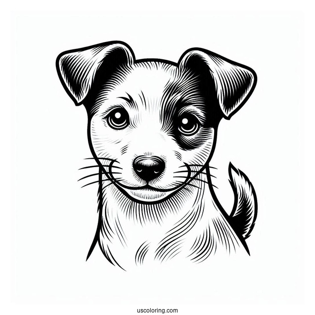 Jack Russell Dog With Perked Ears Coloring In