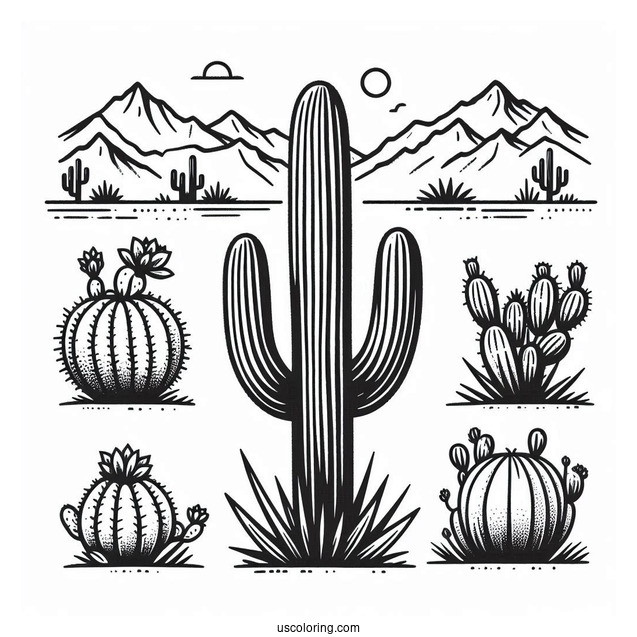 Various Cactus In Arizona Dessert To Color