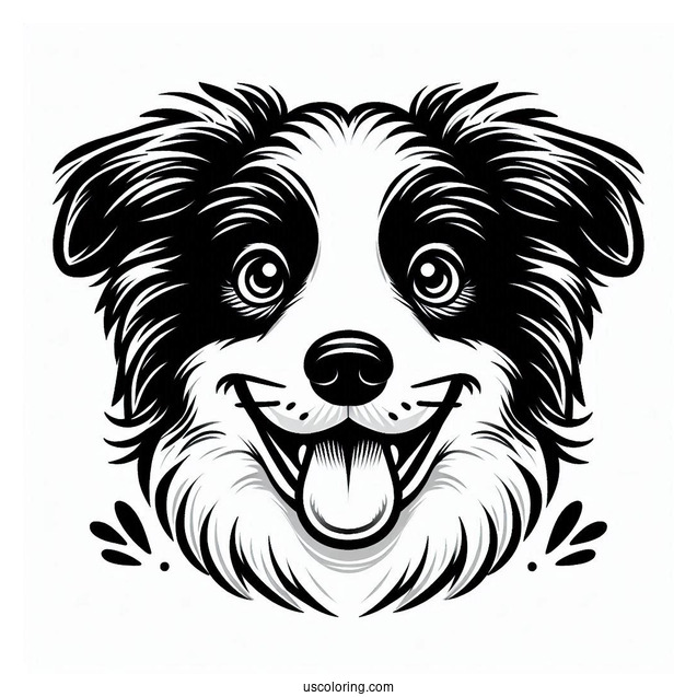 Playful Border Collie Puppy Face