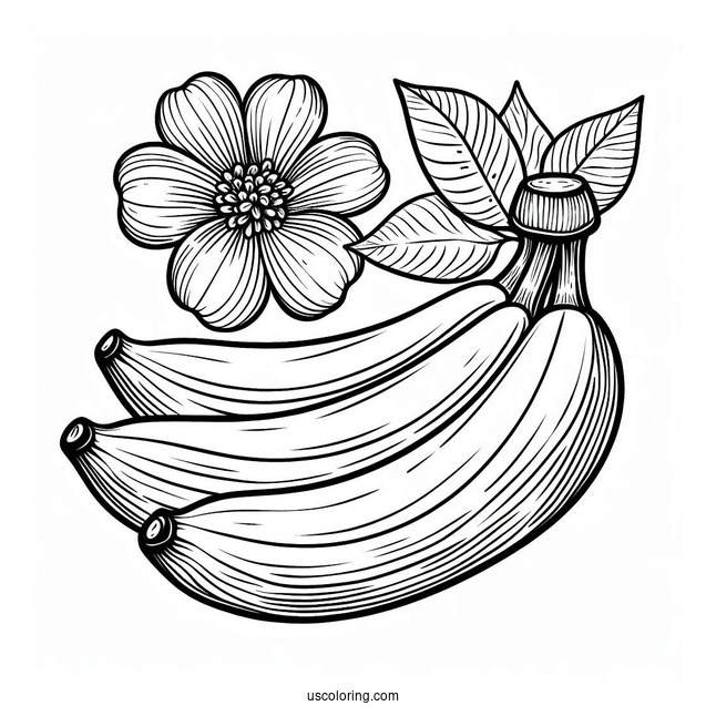 Pretty Banana Coloring Page With A Flower