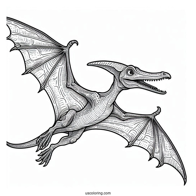 Detailed Pterodactyl Coloring Page In The Air