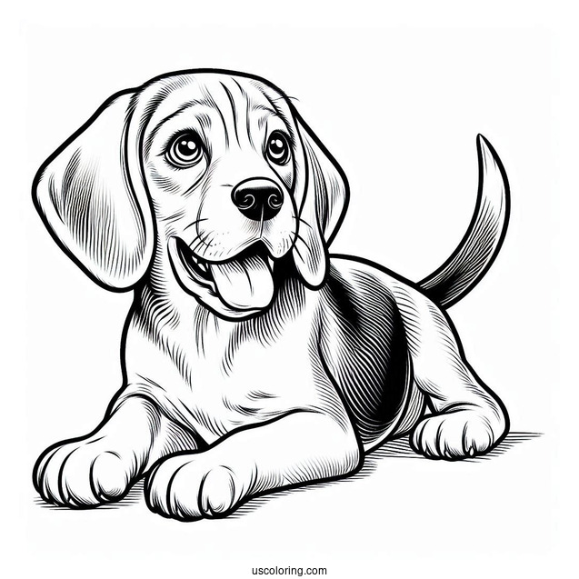 Alert Beagle Coloring Page