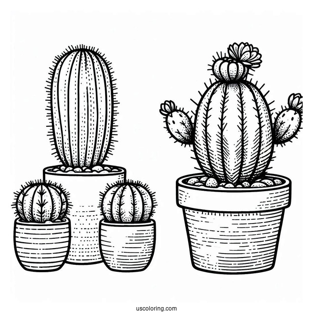 Little Cactus Plant In Pot To Color
