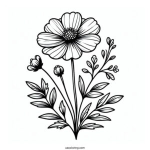 Flower Coloring Pages Of Easy Wildflowers For Preschoolers