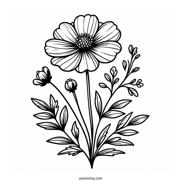 Flower Coloring Pages Of Easy Wildflowers For Preschoolers