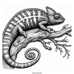 Lizard Coloring Page of Jackson's Chameleon On Tree Branch
