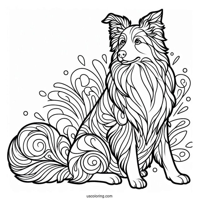 Coloring Sheet Of Border Collie Outline