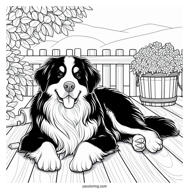 Coloring Sheet Of Bernese Mountain Dog Resting