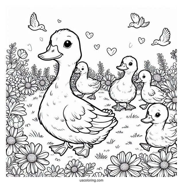 Farm Ducks Walking Through Flower Field