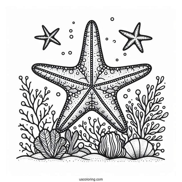Large Starfish Coloring Page In Coral Reef For Kids