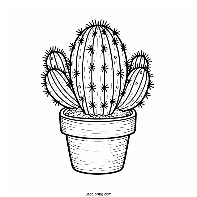 Little Cactus Plant In Pot To Color