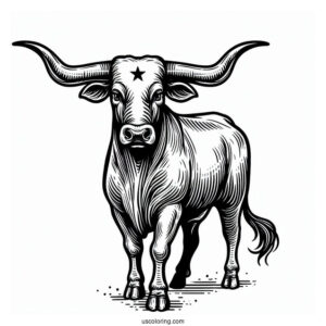Simple Texas Longhorn Coloring Sheet
