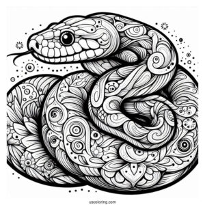 Large Python Snake
