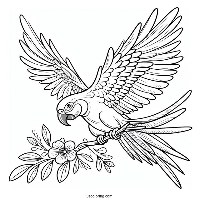 Simple Outline Of a Parrot Flying