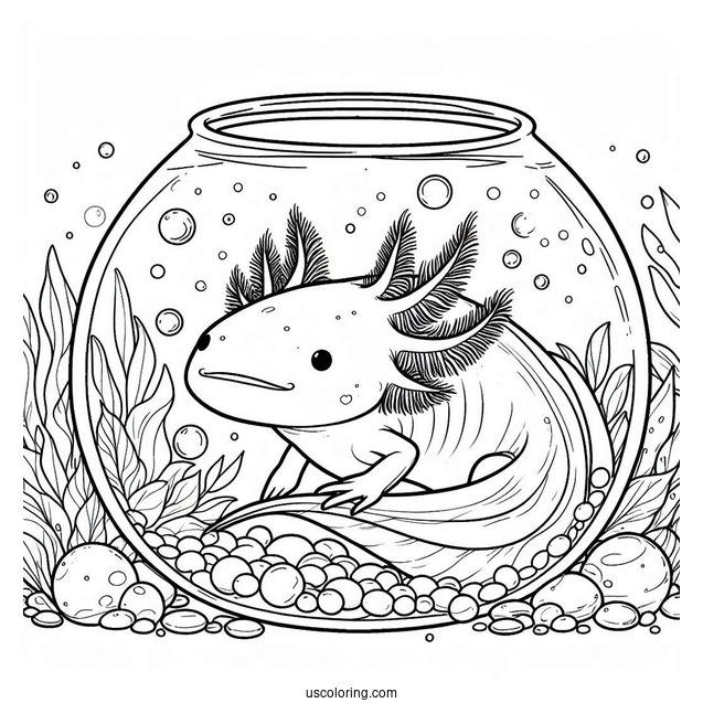 Axolotl Coloring Page Inside A Fish Bowl For Kids
