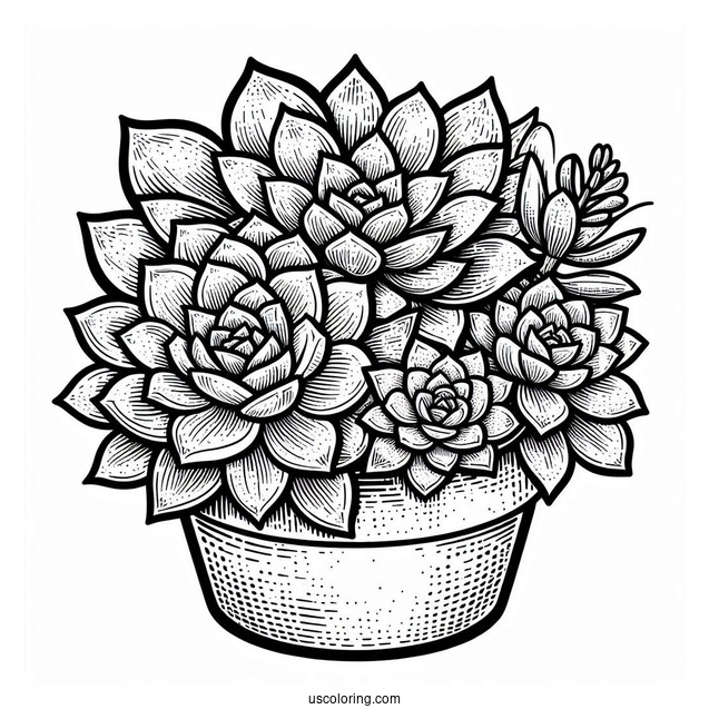 Succulent Coloring Page In A House Flower Pot
