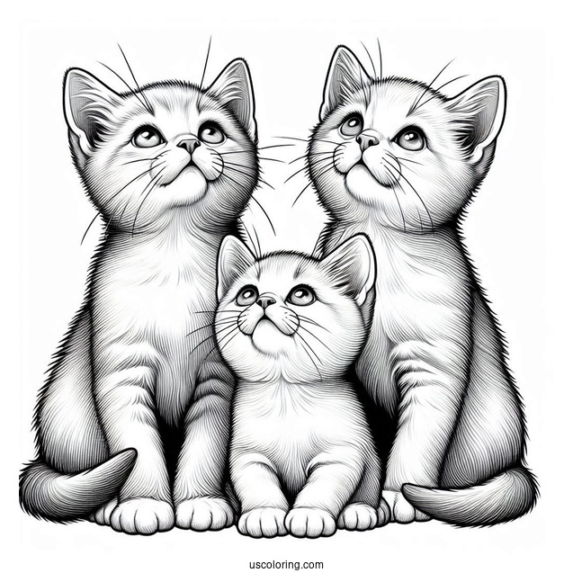 Three Realistic Kittens Looking Up