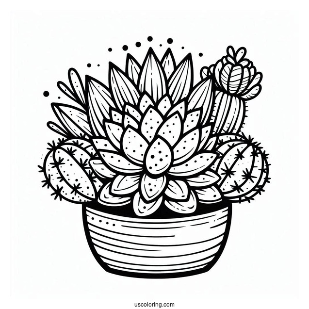 Modern Succulent Plant Coloring Sheet