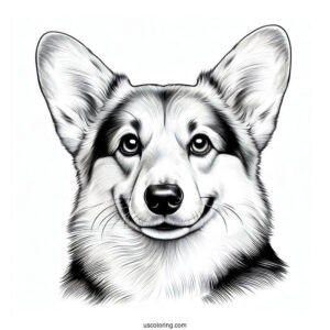 Close Up Of Realistic Corgi Coloring Page