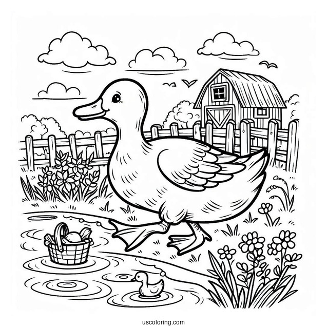 Duck Going To Pond On Farm To Color
