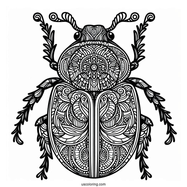 Intricate Beetle Coloring Page Mandala