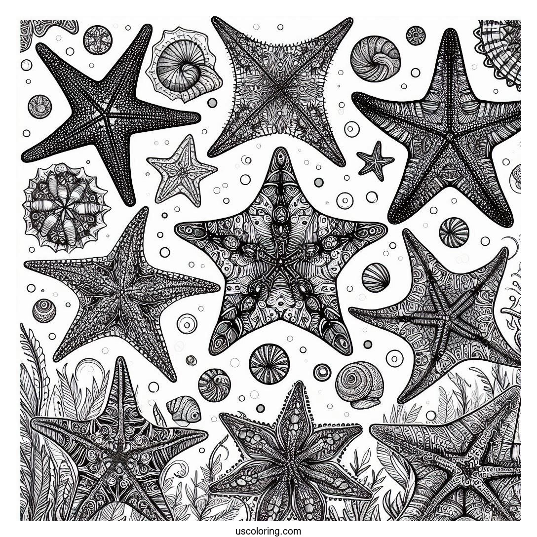 Starfish Coloring Pages (Free PDF Printables)