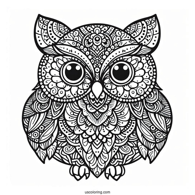Intricate Owl Mandala To Color