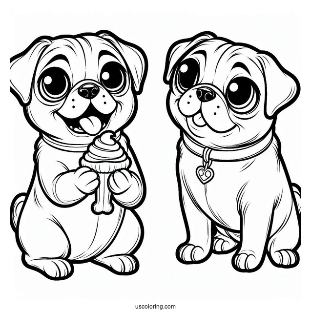 Pug Dog Begging For a Treat