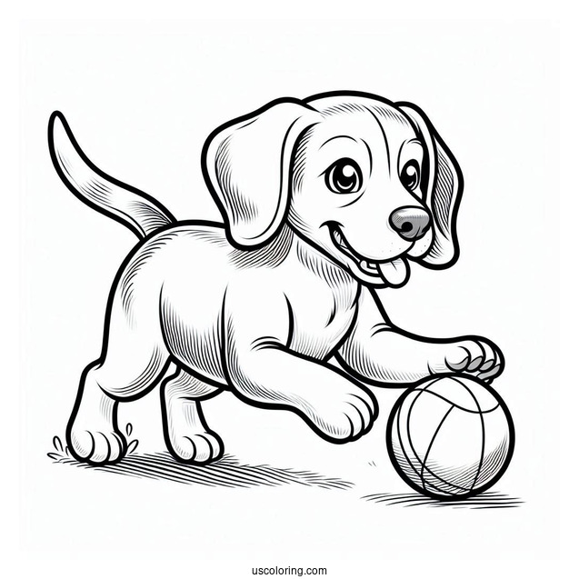 Beagle Chasing Ball To Color
