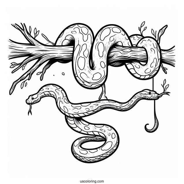 Python Hanging From Tree