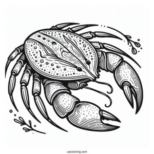 Horseshoe Crab Coloring Page