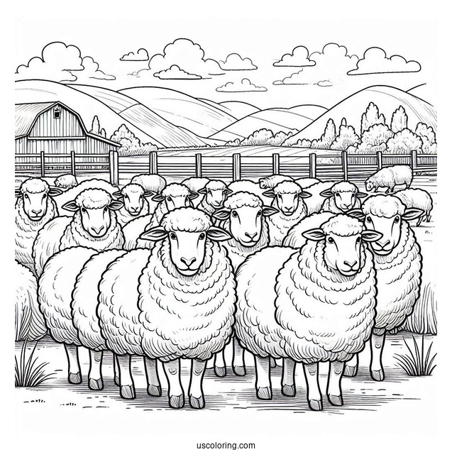 Flock Of Sheep Standing In Paddock Coloring