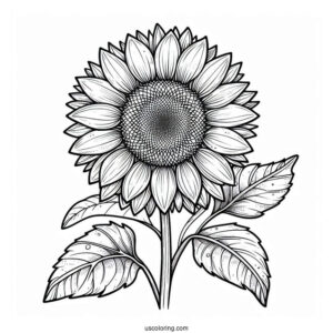 Ultra Fine Sunflower Coloring Sheet