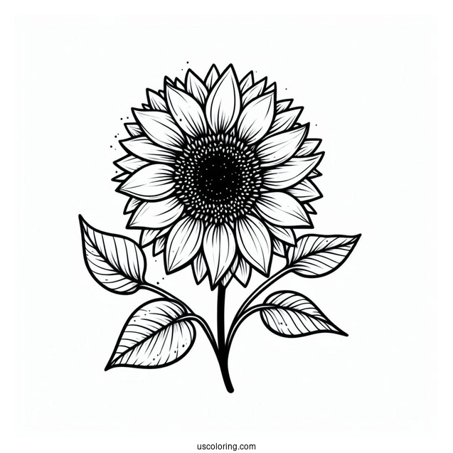 Simple Sunflower Coloring Sheet
