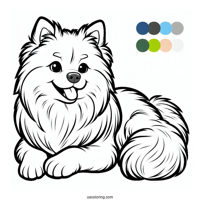 American Eskimo Dog To Color For Preschoolers