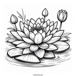 Flower Coloring Pages Of Large Water Lily On Pond