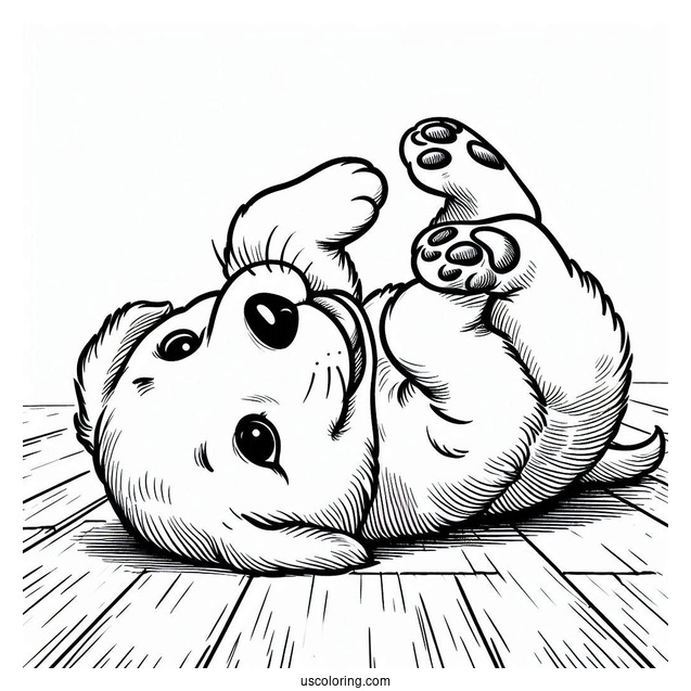 Puppy Rolling On the Floor