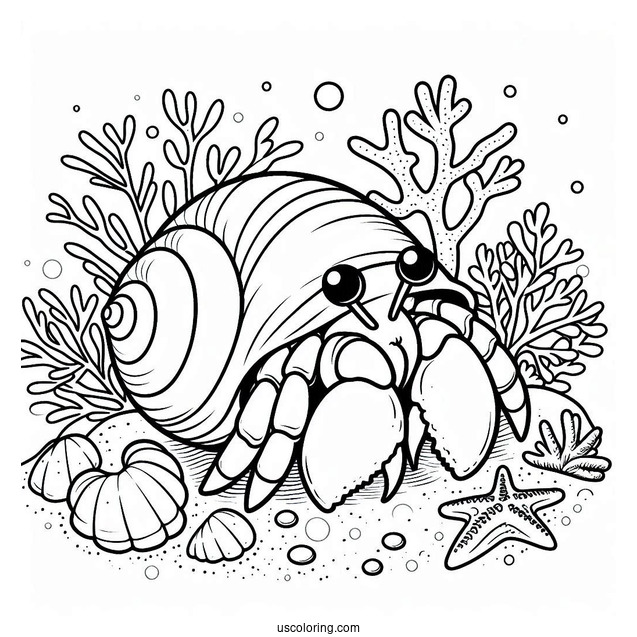 Simple Hermit Crab Coloring Page