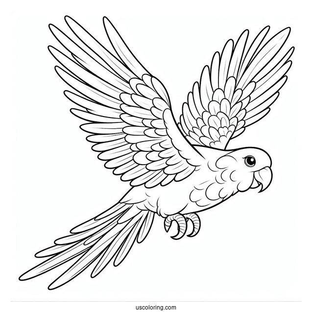 Simple Outline Of a Parrot Flying