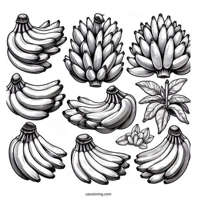 Multiple Bunches Of Bananas Coloring Pages