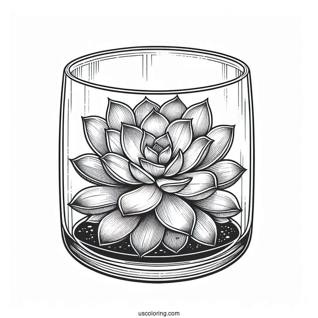 Elegant Succulent Coloring Page Glass Terrarium
