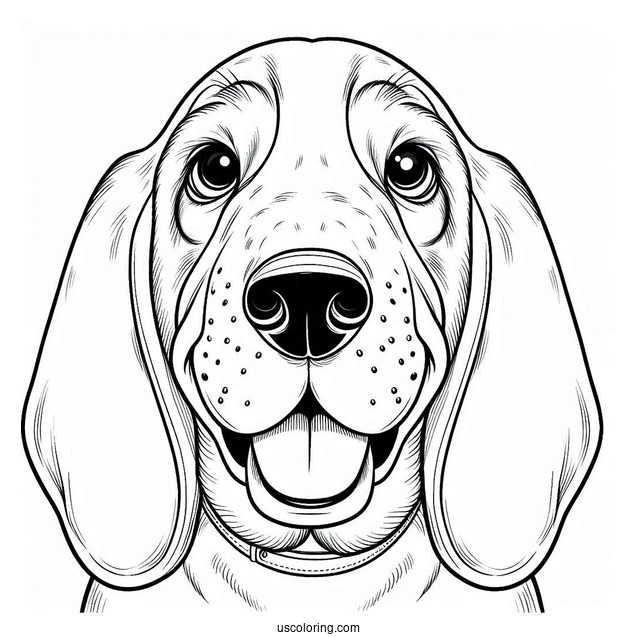 Easy Coloring Sheet Of Basset Smiling