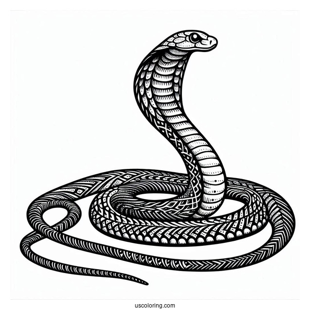 Indian Cobra Snake To Color In