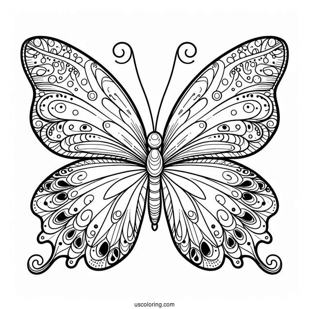 Butterfly With Large Wings Coloring In For Kids