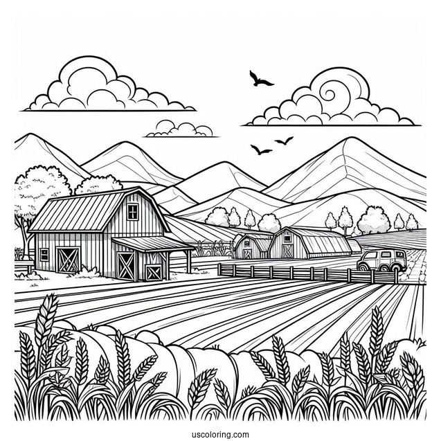 Farm Fields To Color