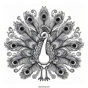 Peacock With Feathers Spread For Coloring