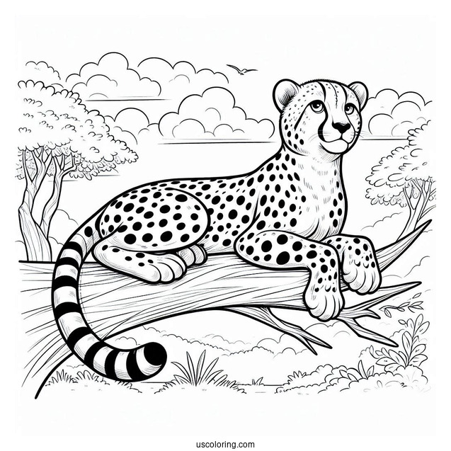 Big Cheetah Coloring Page Resting On A Tree Branch